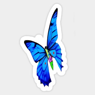 BEAUTIFUL COBALT BLUE BUTTERFLY Sticker